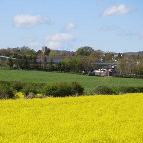 Sixpenny Handley, Dorset, UK history